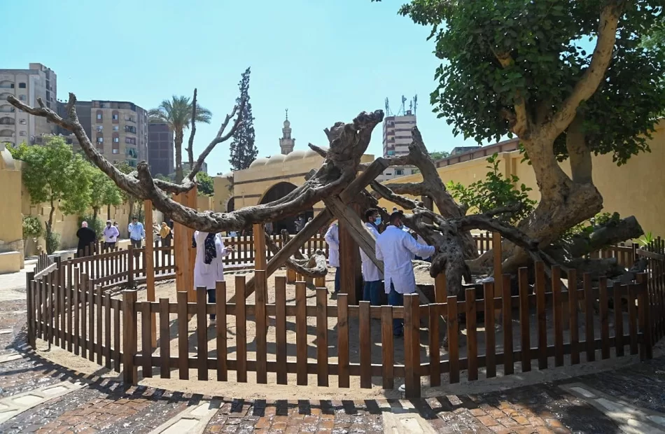 Le projet du "Voyage de la Sainte Famille", un boom touristique 3 - Le Progrès Egyptien
