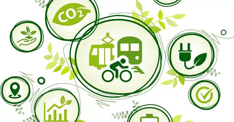 Quand le transport devient vert 4 - Le Progrès Egyptien Quand le transport devient vert 3 - Le Progrès Egyptien