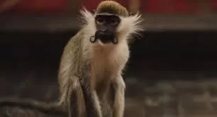 La modération, une valeur essentielle ! 4 - Le Progrès Egyptien La modération, une valeur essentielle ! 3 - Le Progrès Egyptien