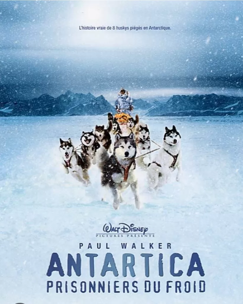 8 films pour enfants à savourer pendant les vacances de la mi-année 18 - Le Progrès Egyptien 8 films pour enfants à savourer pendant les vacances de la mi-année 17 - Le Progrès Egyptien