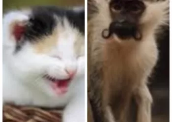 La modération, une valeur essentielle !