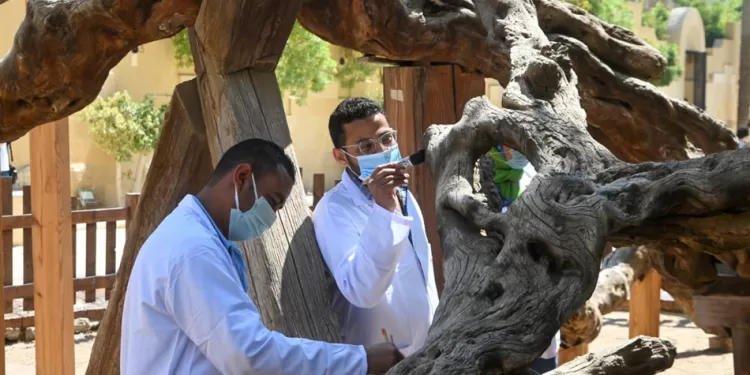 Le projet du "Voyage de la Sainte Famille", un boom touristique 2 - Le Progrès Egyptien Le projet du "Voyage de la Sainte Famille", un boom touristique 1 - Le Progrès Egyptien