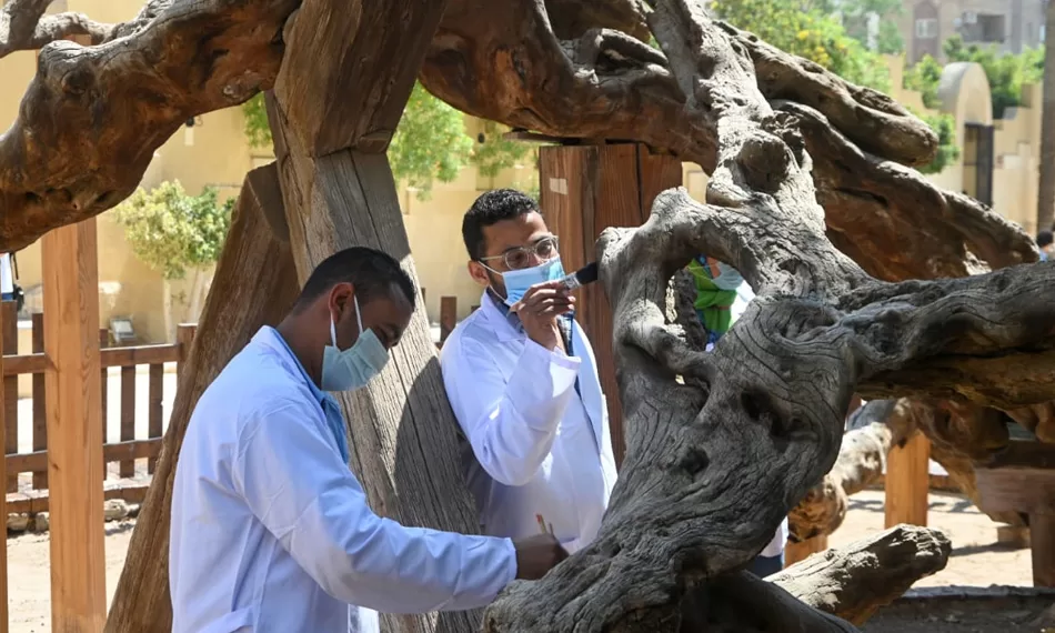 Le projet du "Voyage de la Sainte Famille", un boom touristique 1 - Le Progrès Egyptien