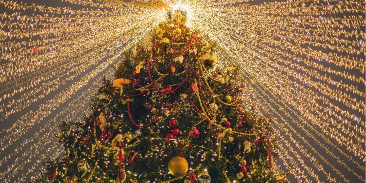 Une nouvelle année en pleine ambiance festive 1 - Le Progrès Egyptien