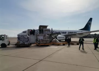 Une aide humanitaire égyptienne arrive à Damas