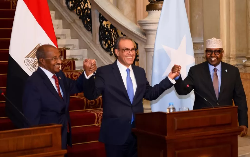 Importance des relations entre l'Egypte, la Somalie et l'Érythrée 10 - Le Progrès Egyptien Importance des relations entre l'Egypte, la Somalie et l'Érythrée 9 - Le Progrès Egyptien