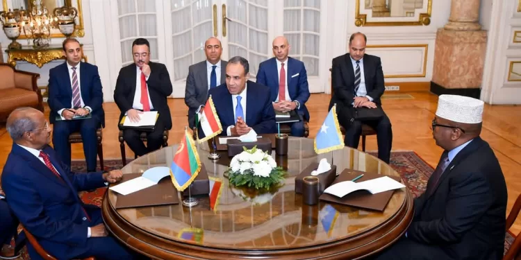 Coopération : L'Egypte, la Somalie et l'Érythrée se félicitent des progrès accomplis 2 - Le Progrès Egyptien Coopération : L'Egypte, la Somalie et l'Érythrée se félicitent des progrès accomplis 1 - Le Progrès Egyptien