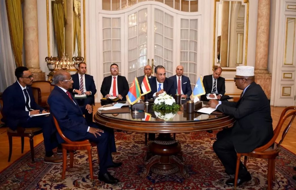 Importance des relations entre l'Egypte, la Somalie et l'Érythrée 6 - Le Progrès Egyptien Importance des relations entre l'Egypte, la Somalie et l'Érythrée 5 - Le Progrès Egyptien