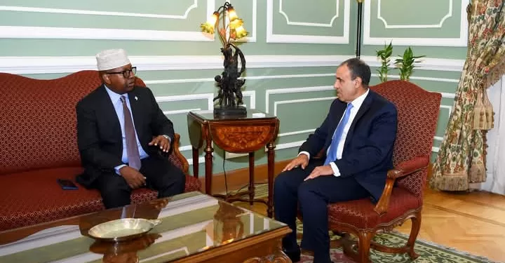 Pourparlers du ministre des AE et son homologue somalien 2 - Le Progrès Egyptien Pourparlers du ministre des AE et son homologue somalien 1 - Le Progrès Egyptien