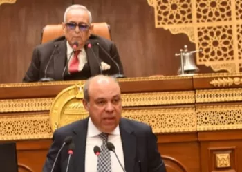 Lors de la session plénière du Sénat: Passage en revue du plan de développement des aéroports