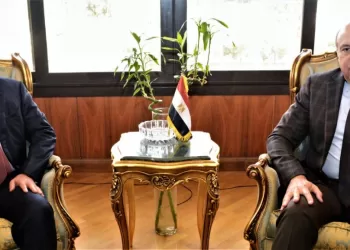 Transport aérien : Entretiens égypto-émiratis