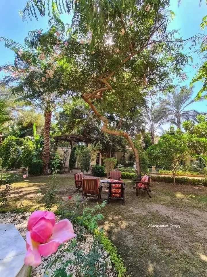 Le Palais de Naguib Charkas, un véritable écrin de faste sur l’île d’or 26 - Le Progrès Egyptien Le Palais de Naguib Charkas, un véritable écrin de faste sur l’île d’or 25 - Le Progrès Egyptien