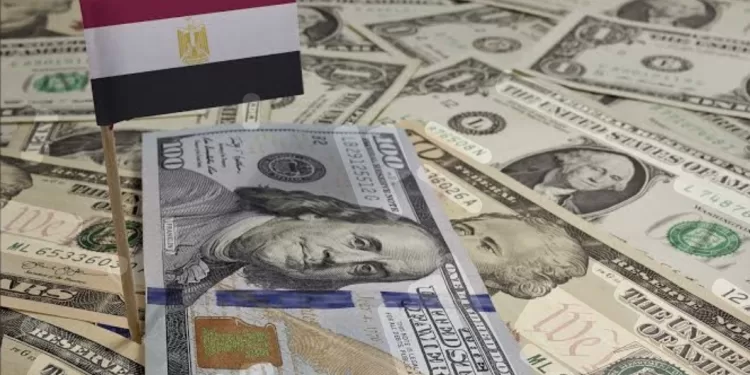 L’Egypte, 1ère en Afrique pour les envois de fonds des expatriés 1 - Le Progrès Egyptien