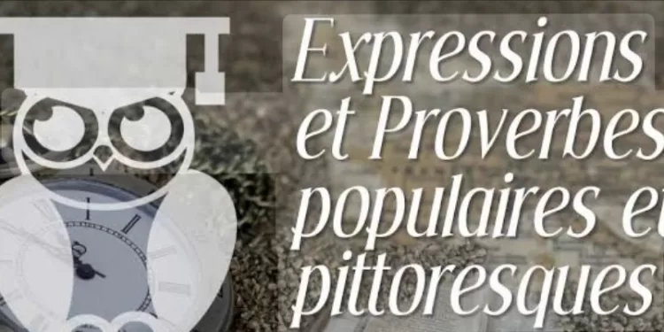 Les couleurs de l'Egypte: Entre sourires et expressions pittoresques 1 - Le Progrès Egyptien