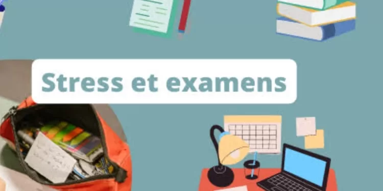 Stress des examens: Comment soutenir votre enfant ? 2 - Le Progrès Egyptien Stress des examens: Comment soutenir votre enfant ? 1 - Le Progrès Egyptien