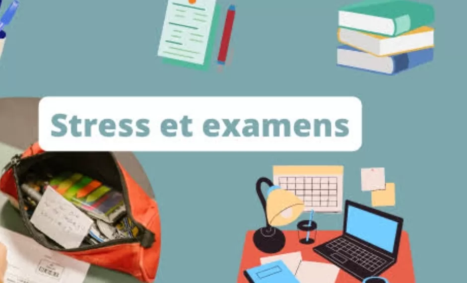 Stress des examens: Comment soutenir votre enfant ? 2 - Le Progrès Egyptien Stress des examens: Comment soutenir votre enfant ? 1 - Le Progrès Egyptien