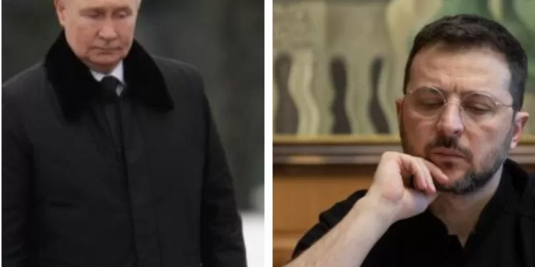 Poutine accepte des discussions avec l'Ukraine mais sans Zelensky 1 - Le Progrès Egyptien