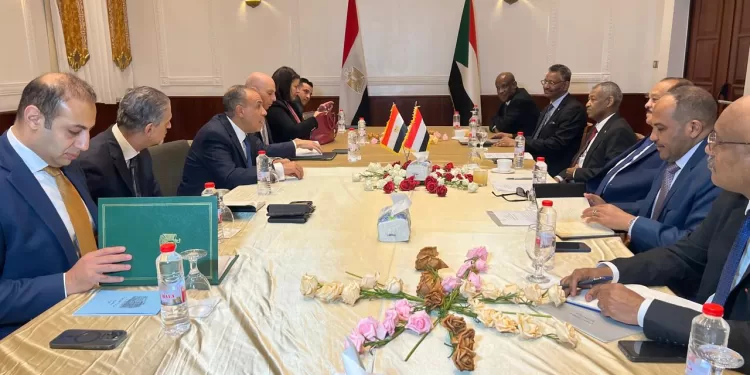 Plein soutien égyptien au Soudan et à ses institutions nationales 1 - Le Progrès Egyptien