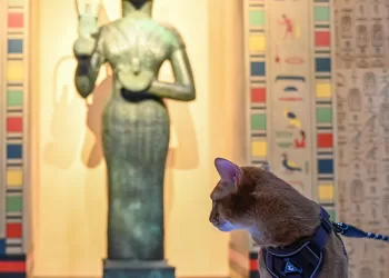 Votre chat pose pour une photo-souvenir avec Bastet !