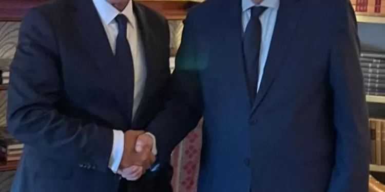 Séance d’entretiens entre Abdel Aati et son homologue libanais 1 - Le Progrès Egyptien