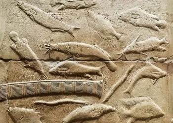 La pêche, une pratique ancienne