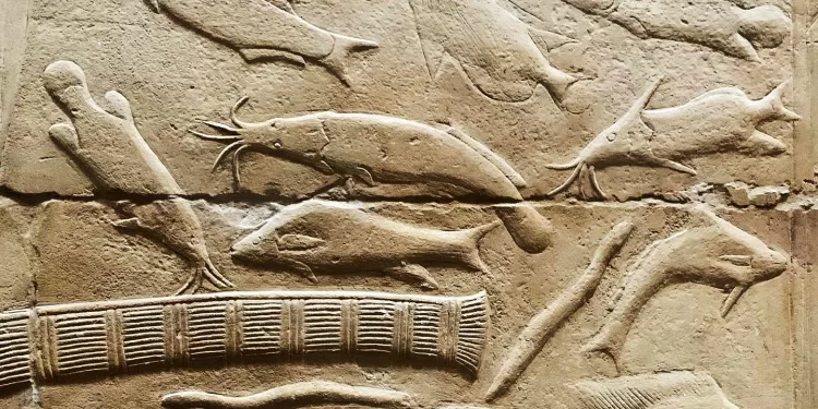 La pêche, une pratique ancienne 1 - Le Progrès Egyptien