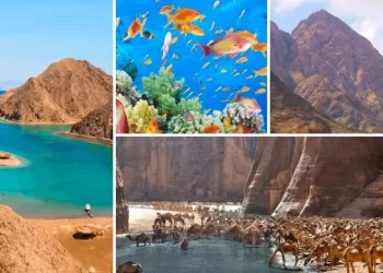 Pour une Egypte verte et durable