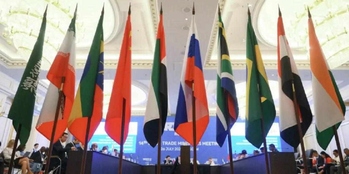 BRICS : L'Egypte accueille pour la première fois la réunion 1 - Le Progrès Egyptien