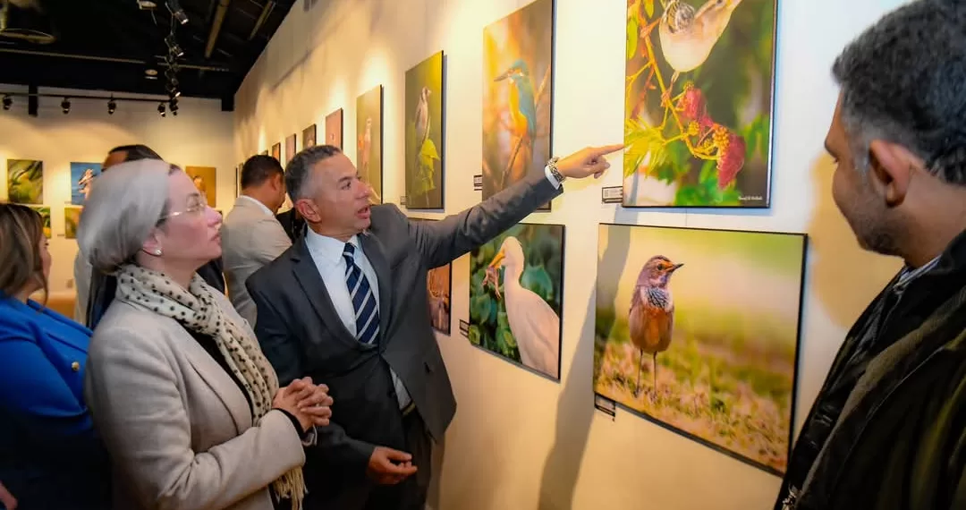 L'art de la nature : Quand la photographie révèle la beauté des oiseaux d'Egypte 2 - Le Progrès Egyptien L'art de la nature : Quand la photographie révèle la beauté des oiseaux d'Egypte 1 - Le Progrès Egyptien