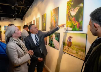 L’art de la nature : Quand la photographie révèle la beauté des oiseaux d’Egypte