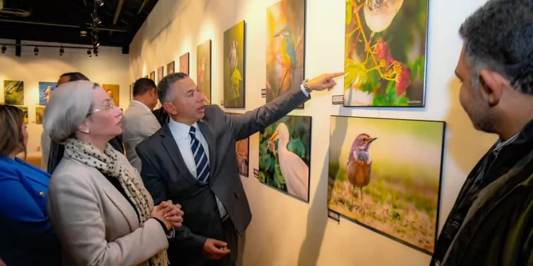 L'art de la nature : Quand la photographie révèle la beauté des oiseaux d'Egypte 2 - Le Progrès Egyptien L'art de la nature : Quand la photographie révèle la beauté des oiseaux d'Egypte 1 - Le Progrès Egyptien