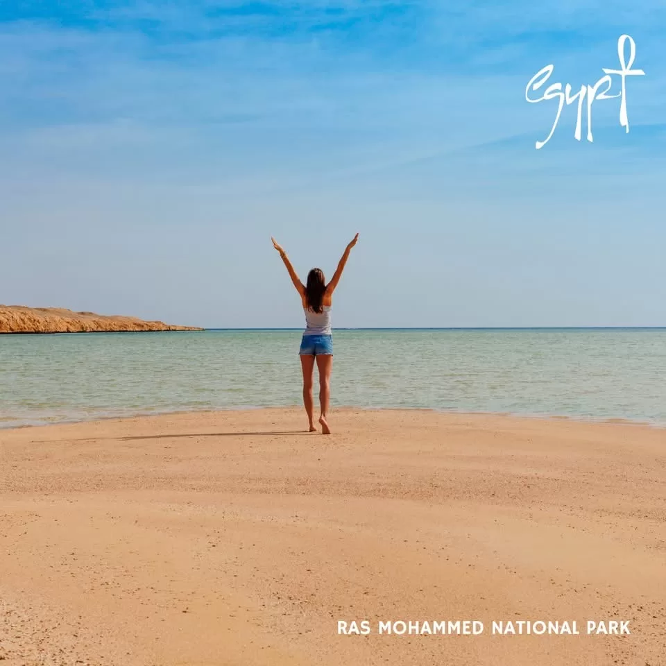 L'Egypte, toujours un refuge touristique sûr 4 - Le Progrès Egyptien L'Egypte, toujours un refuge touristique sûr 3 - Le Progrès Egyptien