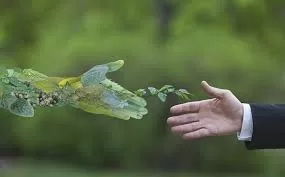 Pour une Egypte verte et durable 6 - Le Progrès Egyptien Pour une Egypte verte et durable 5 - Le Progrès Egyptien