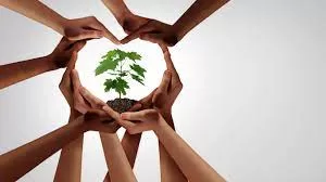 Pour une Egypte verte et durable 4 - Le Progrès Egyptien Pour une Egypte verte et durable 3 - Le Progrès Egyptien