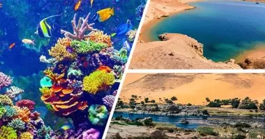 Pour une Egypte verte et durable 8 - Le Progrès Egyptien Pour une Egypte verte et durable 7 - Le Progrès Egyptien