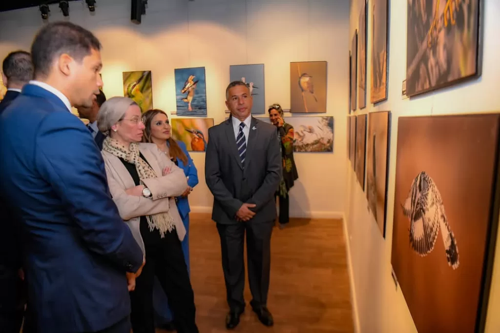 L'art de la nature : Quand la photographie révèle la beauté des oiseaux d'Egypte 4 - Le Progrès Egyptien L'art de la nature : Quand la photographie révèle la beauté des oiseaux d'Egypte 3 - Le Progrès Egyptien