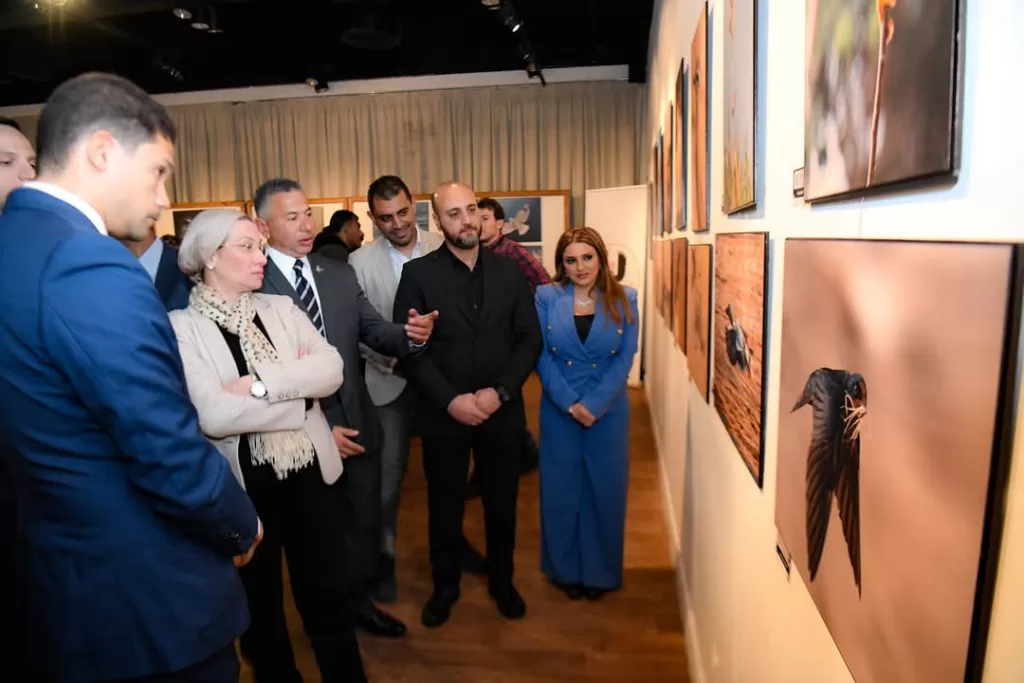 L'art de la nature : Quand la photographie révèle la beauté des oiseaux d'Egypte 8 - Le Progrès Egyptien L'art de la nature : Quand la photographie révèle la beauté des oiseaux d'Egypte 7 - Le Progrès Egyptien