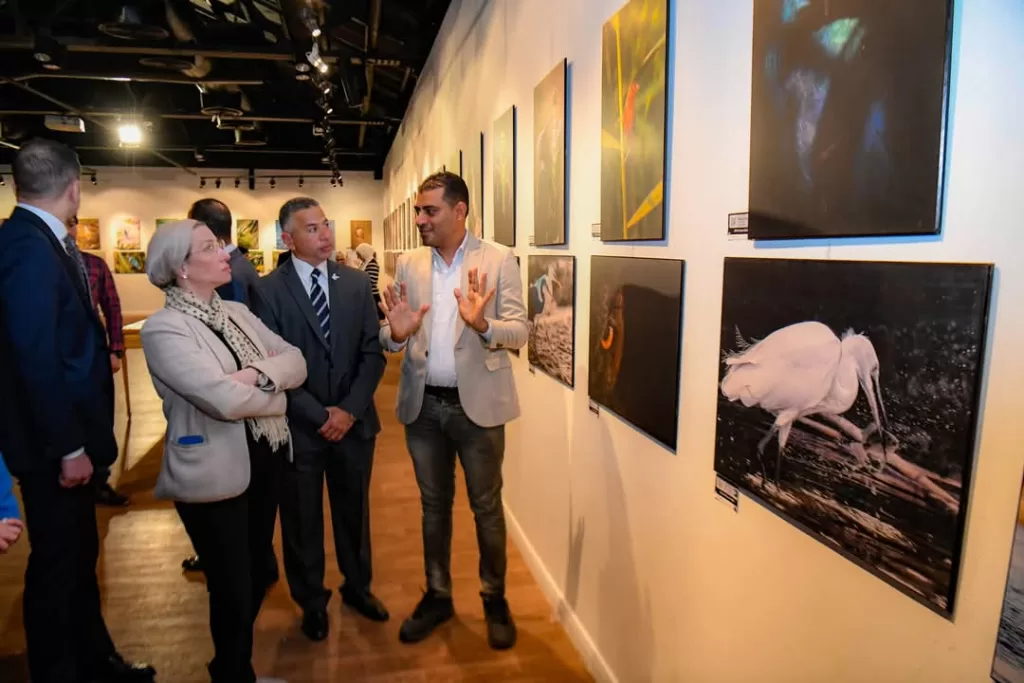 L'art de la nature : Quand la photographie révèle la beauté des oiseaux d'Egypte 6 - Le Progrès Egyptien L'art de la nature : Quand la photographie révèle la beauté des oiseaux d'Egypte 5 - Le Progrès Egyptien