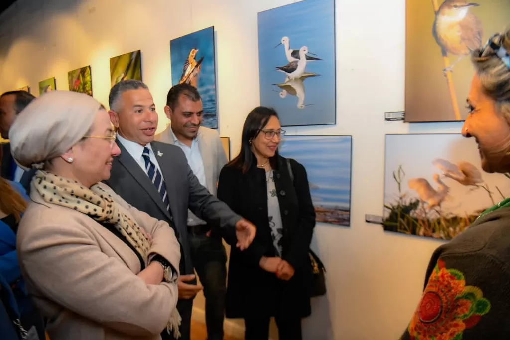L'art de la nature : Quand la photographie révèle la beauté des oiseaux d'Egypte 12 - Le Progrès Egyptien L'art de la nature : Quand la photographie révèle la beauté des oiseaux d'Egypte 11 - Le Progrès Egyptien