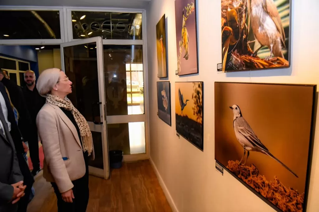 L'art de la nature : Quand la photographie révèle la beauté des oiseaux d'Egypte 10 - Le Progrès Egyptien L'art de la nature : Quand la photographie révèle la beauté des oiseaux d'Egypte 9 - Le Progrès Egyptien