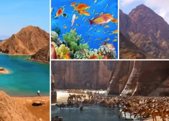 Soutenir l’investissement dans les réserves naturelles