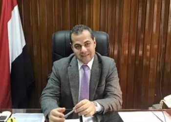 L’Egypte tient à offrir le soutien technique aux frères africains 