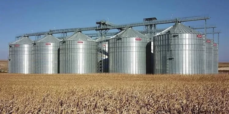 Sécuriser les réserves de céréales 1 - Le Progrès Egyptien