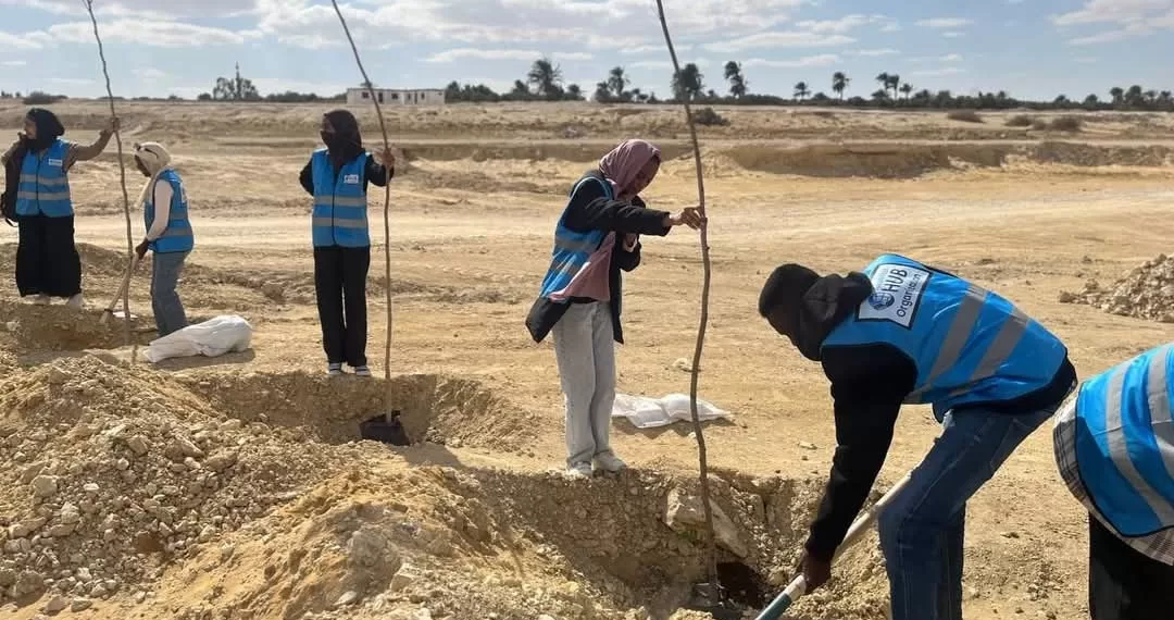 Fayoum : Des arbres sur des routes menant aux réserves de Qarun et Wadi El Rayan 1 - Le Progrès Egyptien