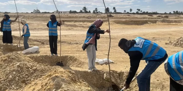 Fayoum : Des arbres sur des routes menant aux réserves de Qarun et Wadi El Rayan 2 - Le Progrès Egyptien Fayoum : Des arbres sur des routes menant aux réserves de Qarun et Wadi El Rayan 1 - Le Progrès Egyptien