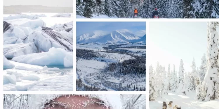 Zoom sur les endroits les plus froids dans le monde (1) 2 - Le Progrès Egyptien Zoom sur les endroits les plus froids dans le monde (1) 1 - Le Progrès Egyptien