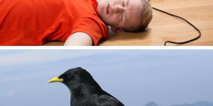 Proverbes et dialectes: Un trésor de sagesse populaire! 2 - Le Progrès Egyptien Proverbes et dialectes: Un trésor de sagesse populaire! 1 - Le Progrès Egyptien