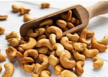 Alimentation : Quels sont les bienfaits des noix de cajou ?