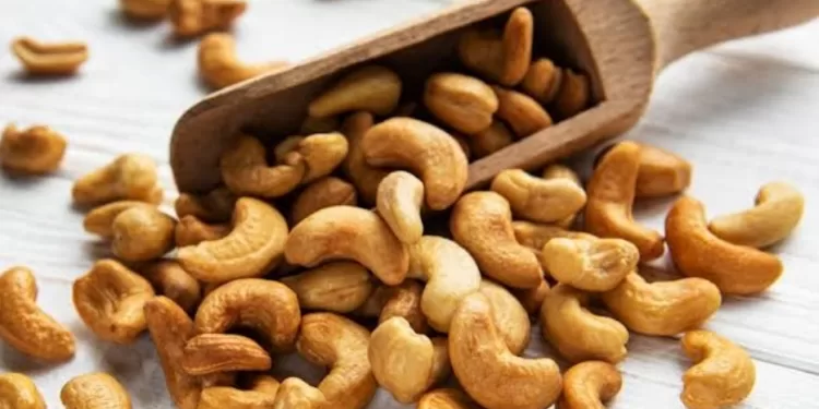 Alimentation : Quels sont les bienfaits des noix de cajou ? 1 - Le Progrès Egyptien