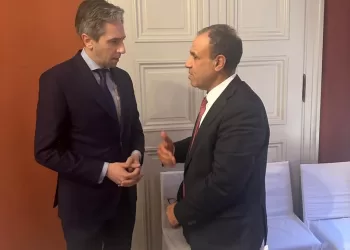 Le chef de la diplomatie égyptienne s’entretient avec le ministre irlandais de la Défense et des AE